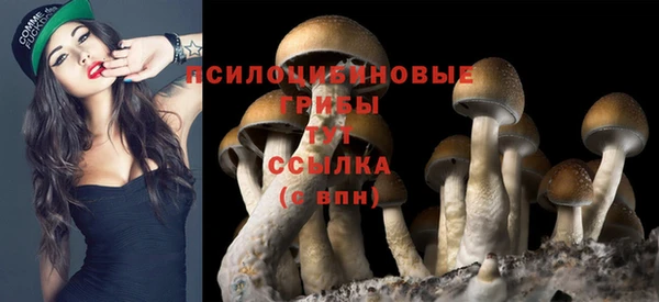 mix Алексин