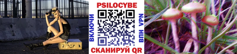Галлюциногенные грибы мицелий  kraken рабочий сайт  Елизово  где купить наркоту 